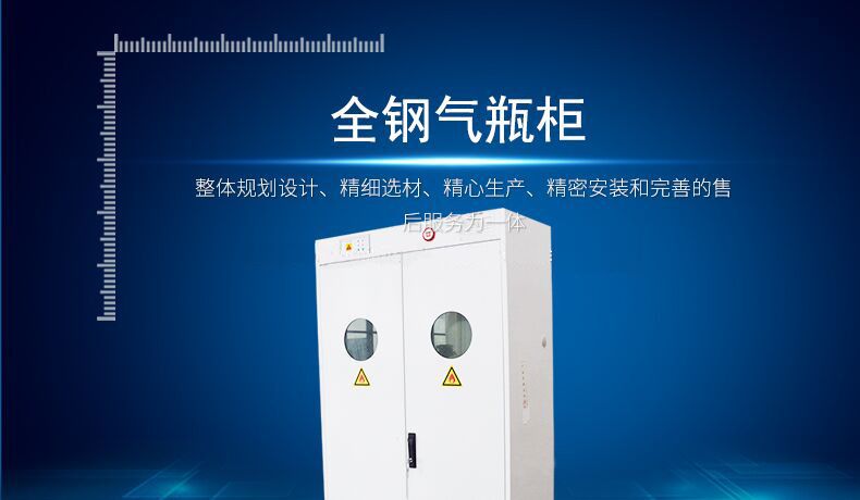 濰坊氣瓶柜廠家直銷全鋼雙瓶氣瓶柜 氣瓶儲存柜實驗室氣體安全柜